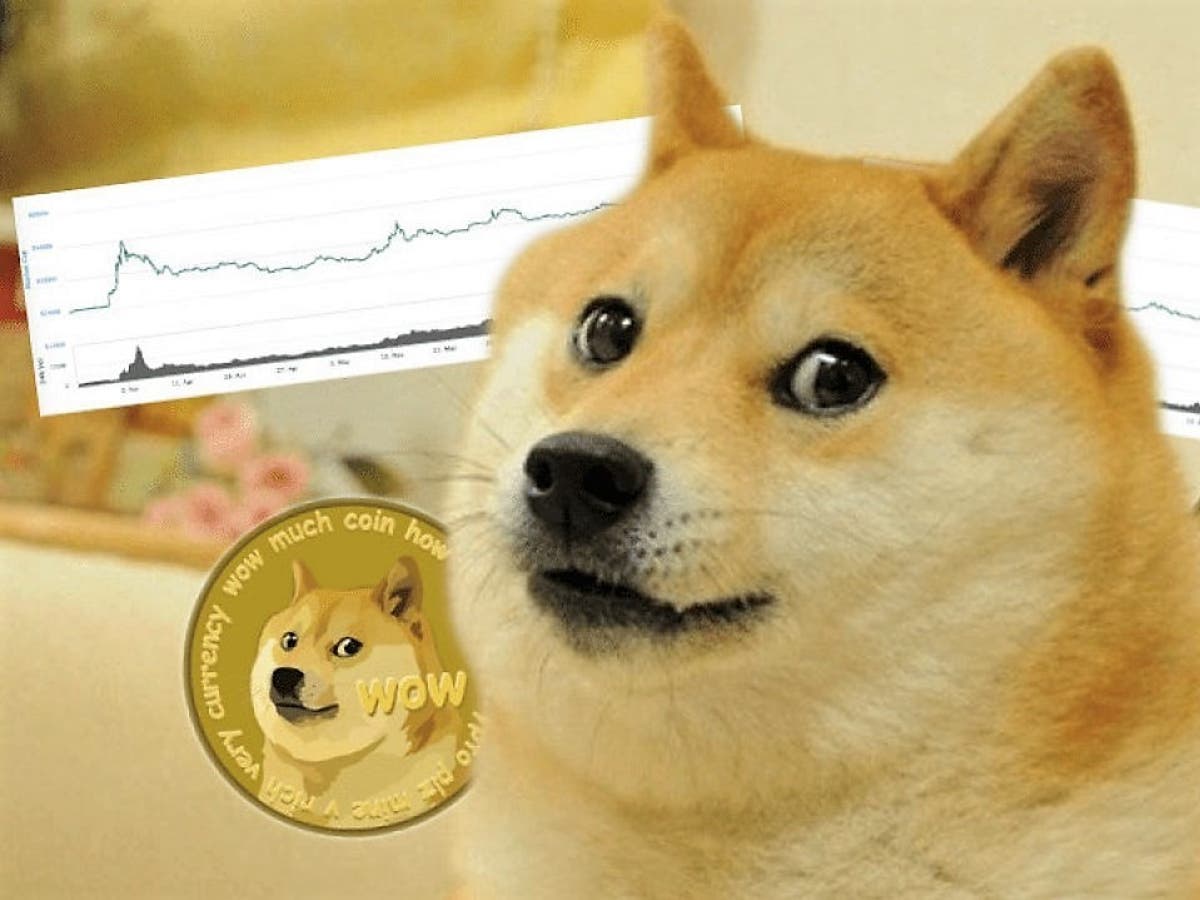 Elon musk dogecoin