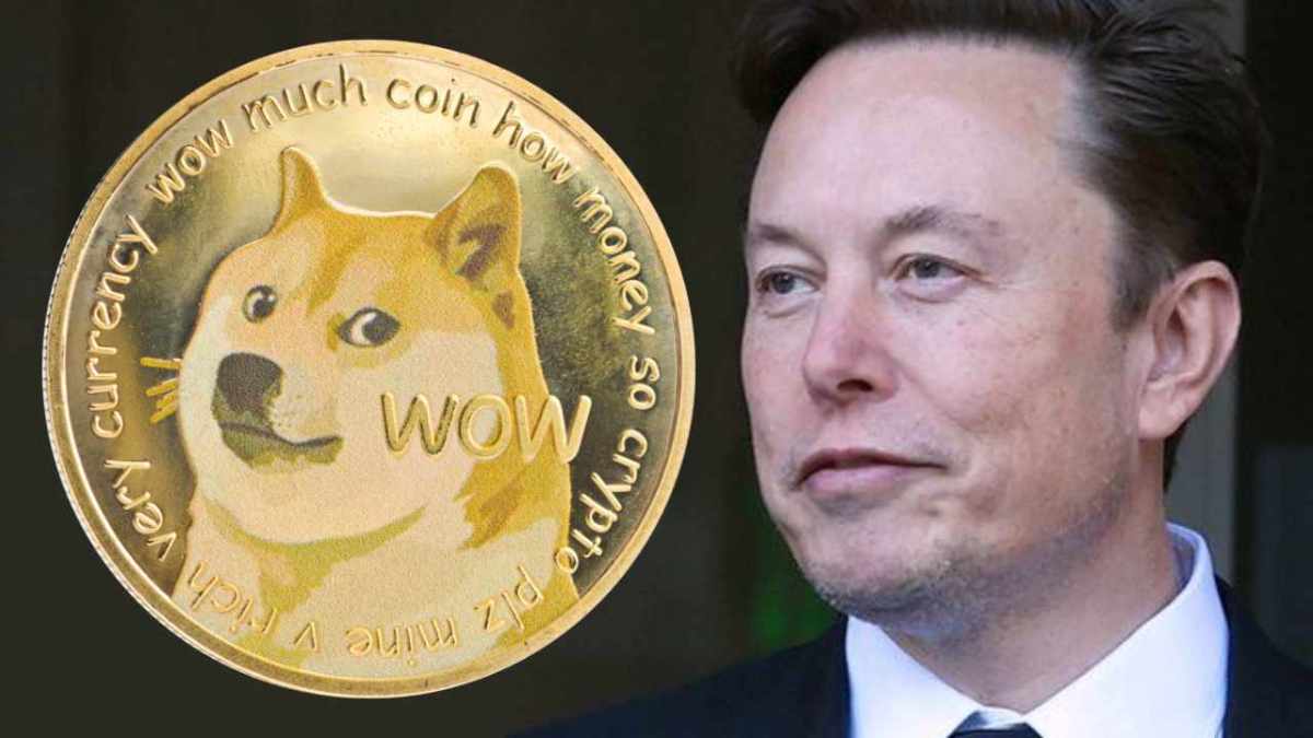 Elon musk dogecoin