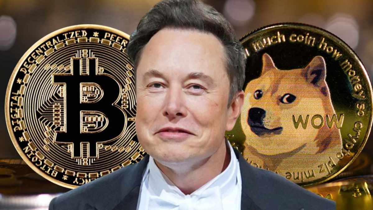 Elon musk dogecoin