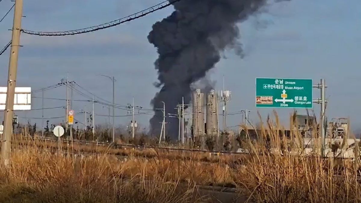 Plane crash south korea today